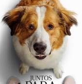 Imagem do filme em cartaz...