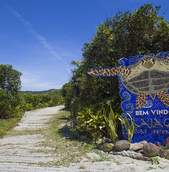 Grajagan Surf Resort