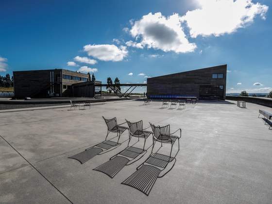 Campo das Artes