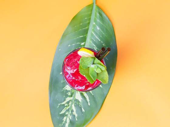 Bermellón: vodka skyy, creme de cassis, limão siciliano, purê de amora e framboesa, baunilha e horte