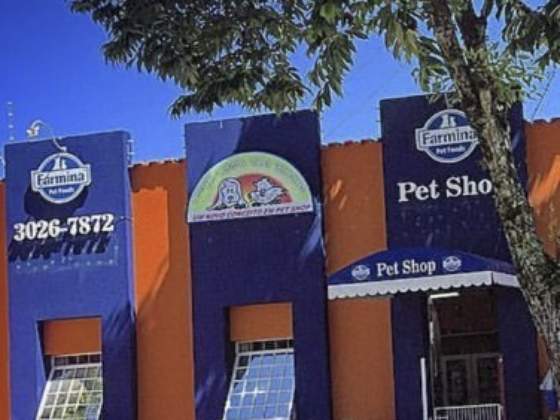 reprodução clube gazeta do povo