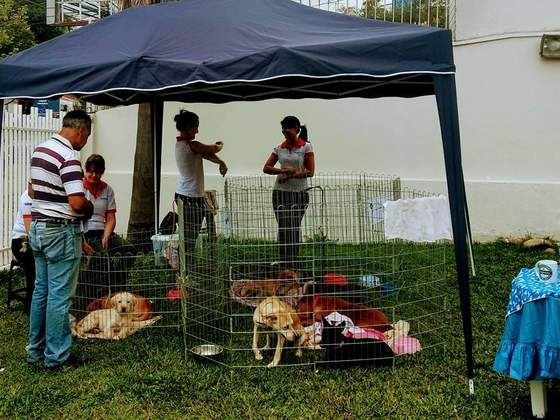reprodução facebook