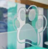 Laundry Pet Lavanderia Animal