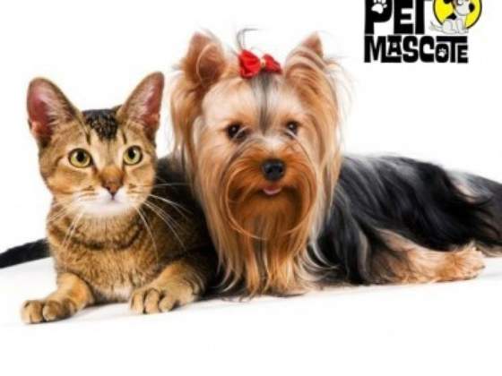 Pet Mascote