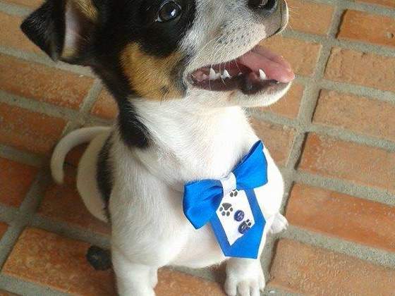 reprodução facebook