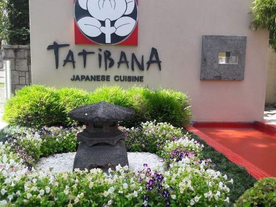 Tatibana Japanese Cuisine
