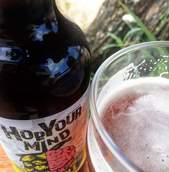 Academia das Cervejas