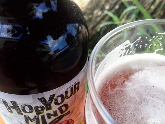 Academia das Cervejas