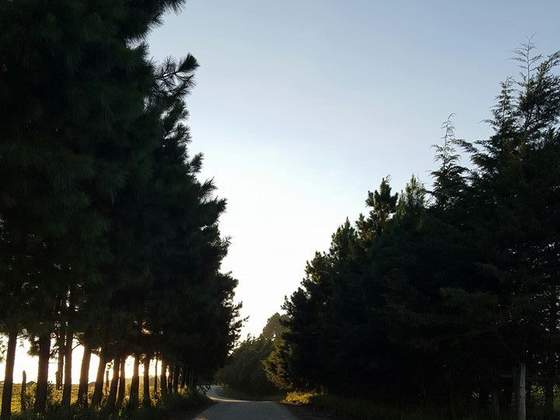 Pousada Parque São Luiz do Purunã