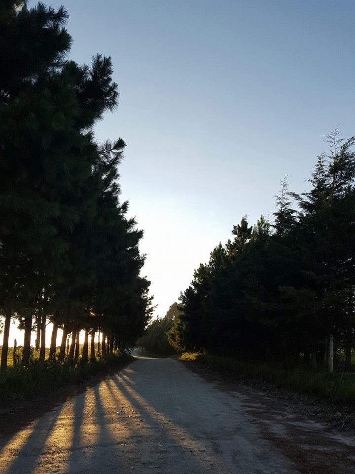 Pousada Parque São Luiz do Purunã