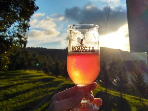 Cervejaria Insecta