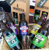Cervejaria Insecta