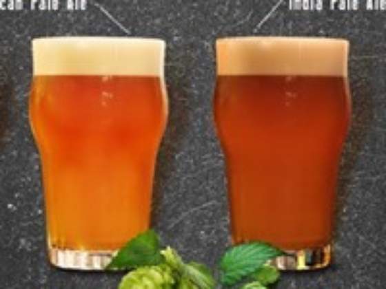 4Hops Brew