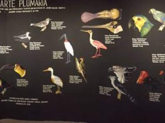 MAI - Museu de Arte Indígena