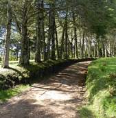 Hotel Fazenda das Araucárias