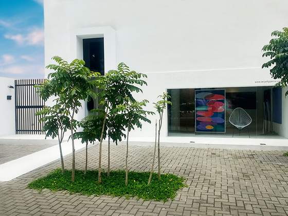Foto: reprodução / site.
