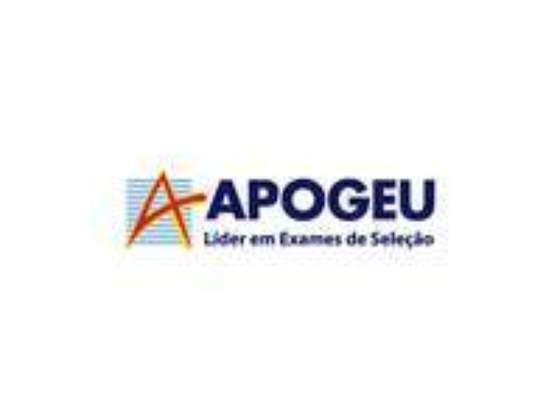 Curso Apogeu