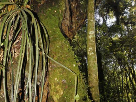 Museu de História Natural