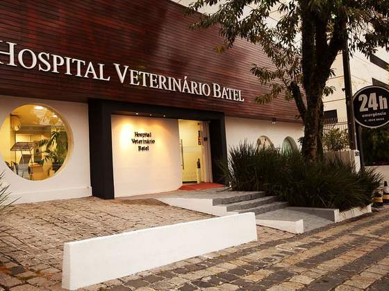 HVB - Hospital Veterinário Batel