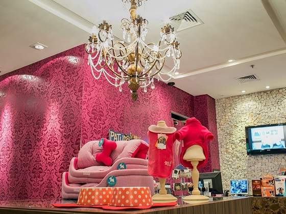 Pet Spa — Palladium