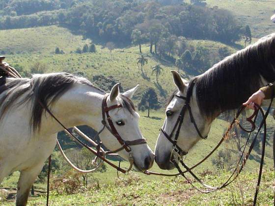 Hotel Fazenda Cainã