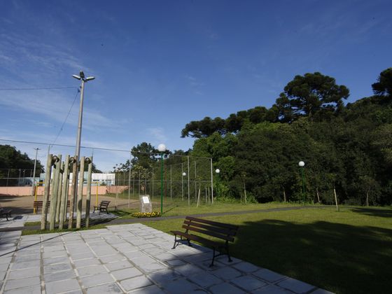 Bosque Reinhard Maack