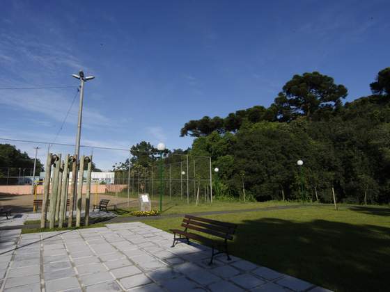 Bosque Reinhard Maack