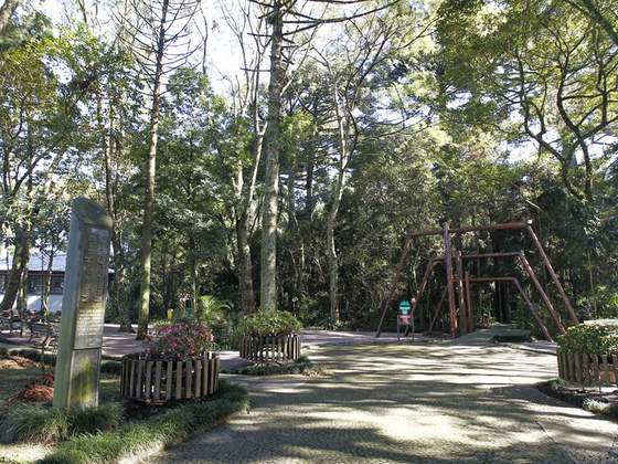Bosque Capão da Imbuia