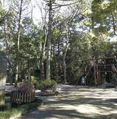 Bosque Capão da Imbuia