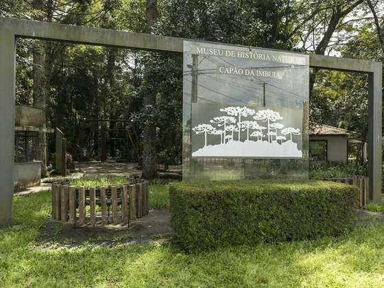Bosque Capão da Imbuia