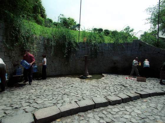 Bosque Gutierrez