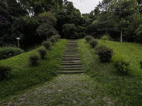 Bosque Gutierrez
