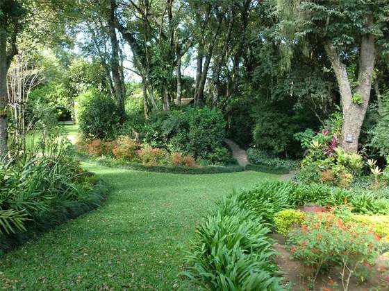 Bosque de Jesus