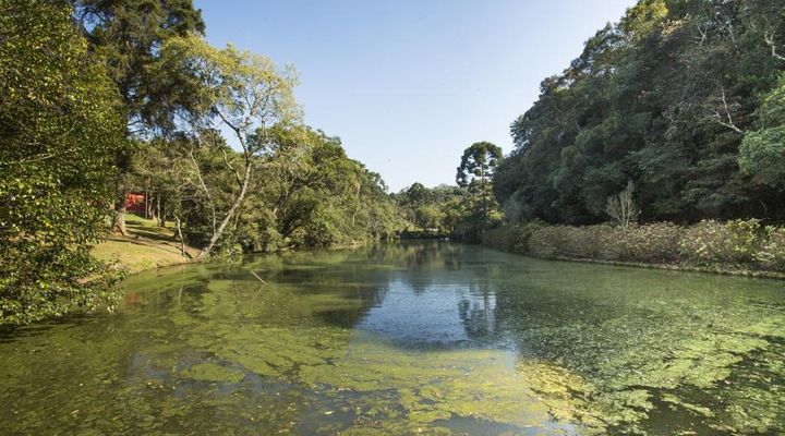 Parque da Barreirinha: oásis esquecido e pouco aproveitado no meio de Curitiba