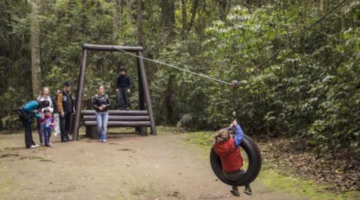 Bosque com trilha de aventura para crianças é reaberto em Curitiba