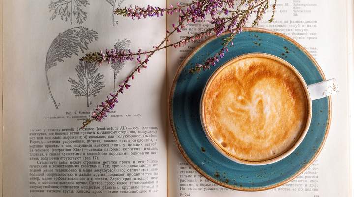 6 livrarias que misturam café, diversão e arte