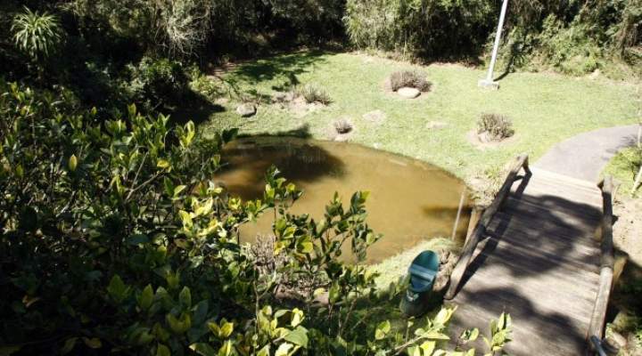 Curitiba tem parque para preservar a nascente do rio Belém