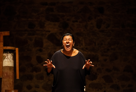 Regina Casé volta ao teatro em monólogo com textos de Leminski e Dalton