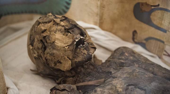 Museu egípcio em Curitiba tem múmia de quase 3 mil anos