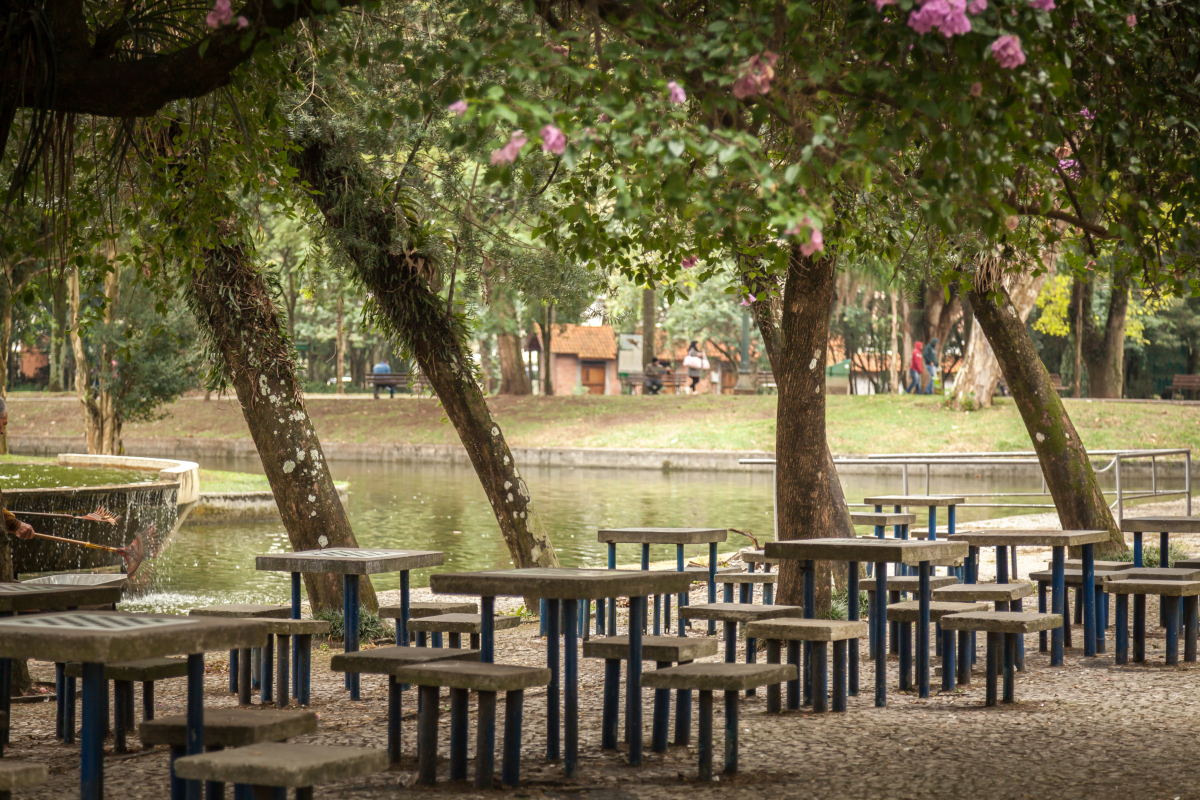 Lugares para jogar xadrez em Curitiba