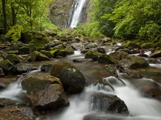 A Reserva Natural Salto Morato, em Paranaguá, é uma alternativa de passeio para ir e voltar no mesmo dia saindo de Curitiba. Foto: Divulgação