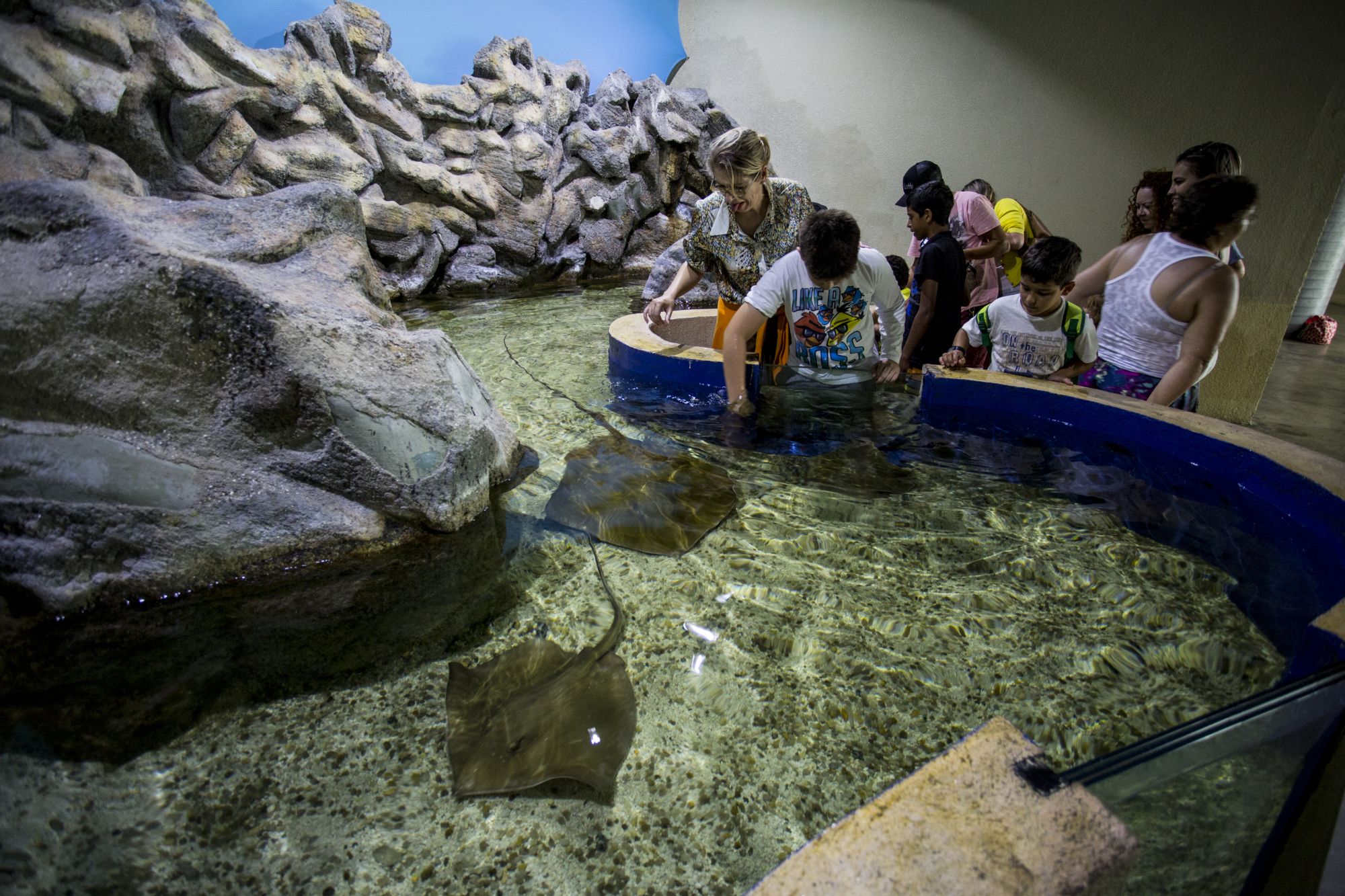 O Aquário de Paranaguá tem tanques para interação. Foto: Henry Milléo/Arquivo Gazeta do Povo