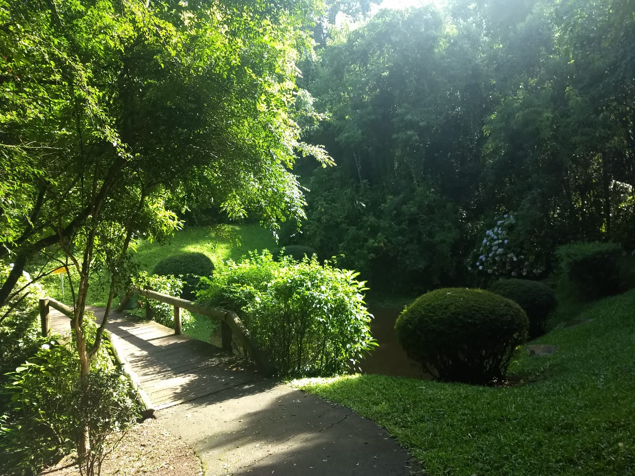 Vista para a nascente do rio.