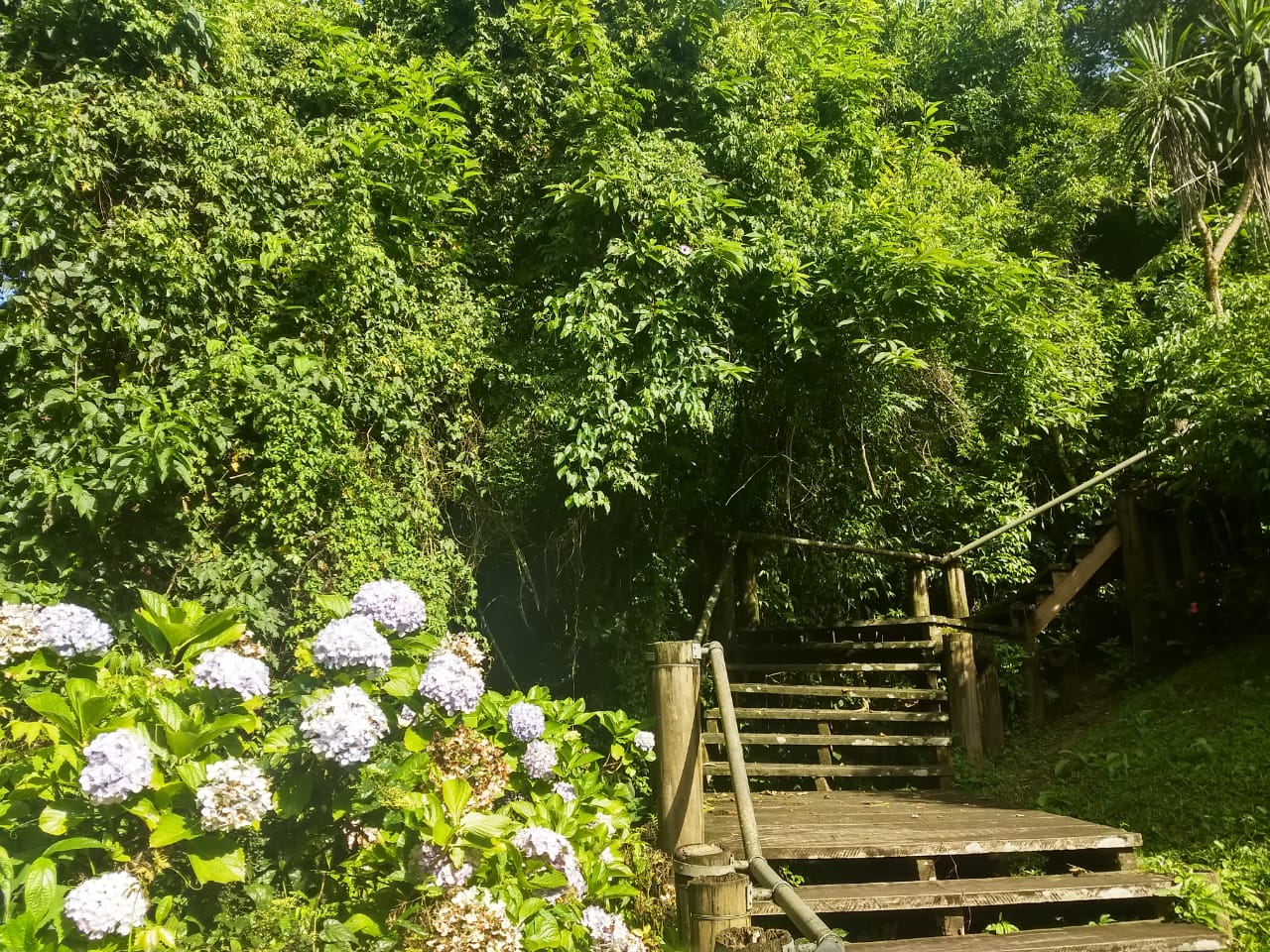 Escadaria ao lado da margem