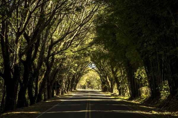 Lugares Legais para Conhecer e Fotografar em Curitiba [Parte 1]