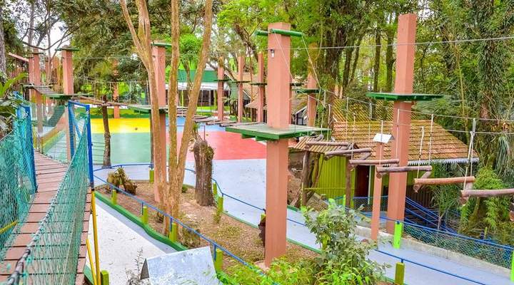 Conheça o parque em Curitiba com arvorismo, tirolesa para crianças e mais 20 atrações