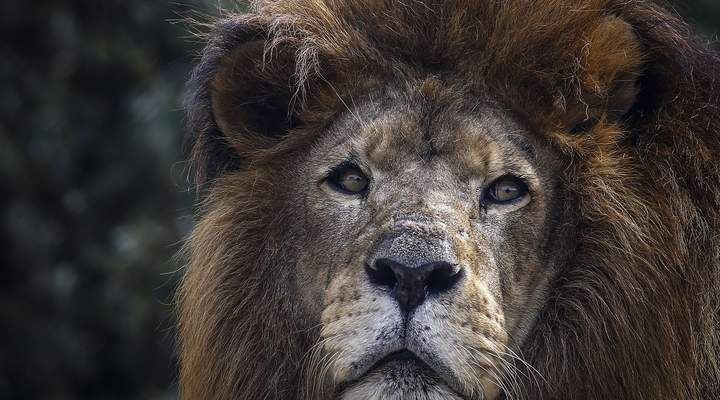 Zoológico de Curitiba ganha mais uma hora de funcionamento durante o verão