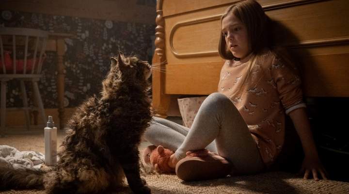 Cemitério Maldito, a história mais assustadora de Stephen King chega aos cinemas
